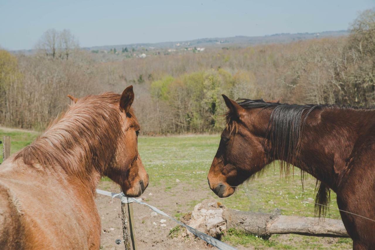 La Ferme De Bousserand Pontours エクステリア 写真