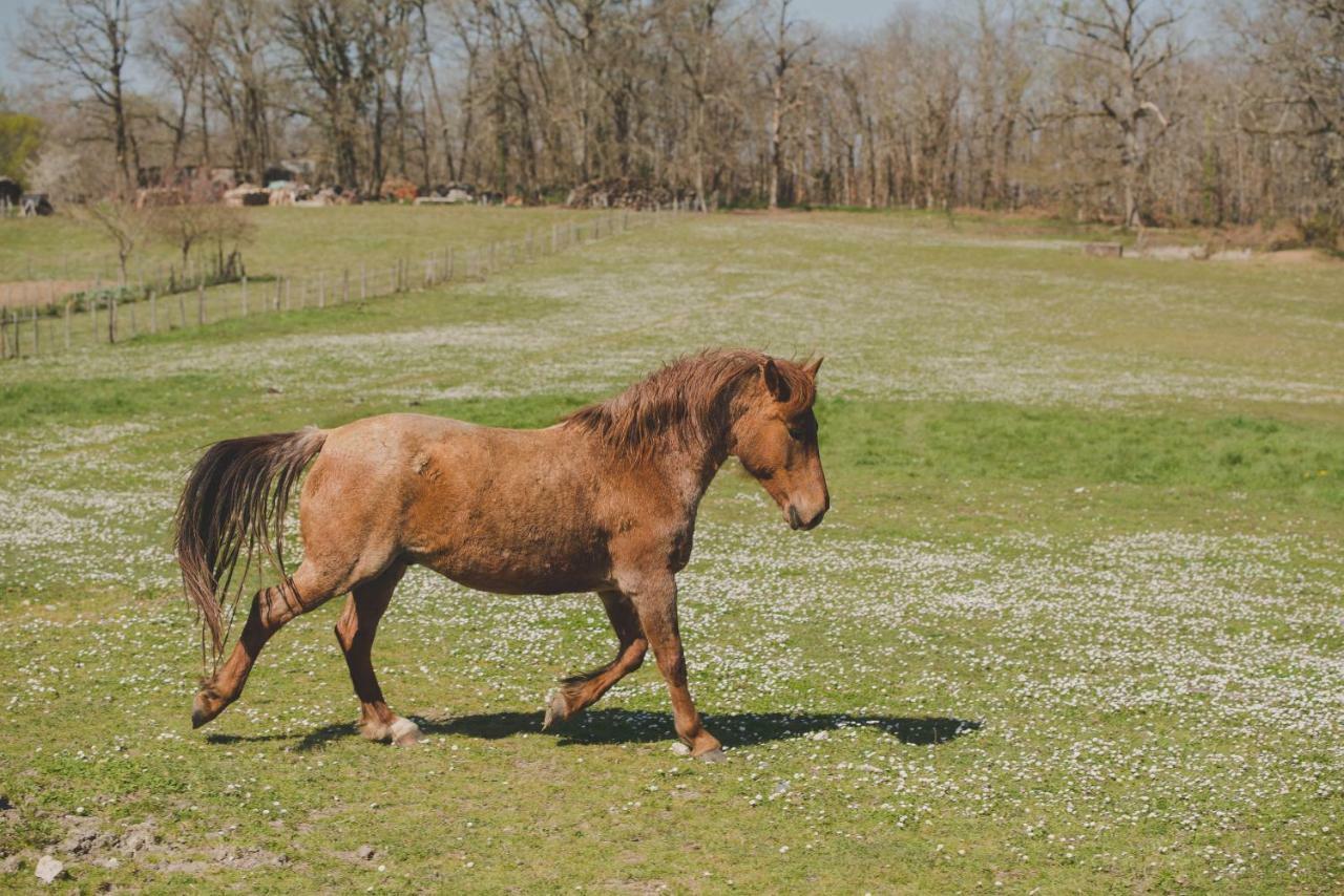 La Ferme De Bousserand Pontours エクステリア 写真